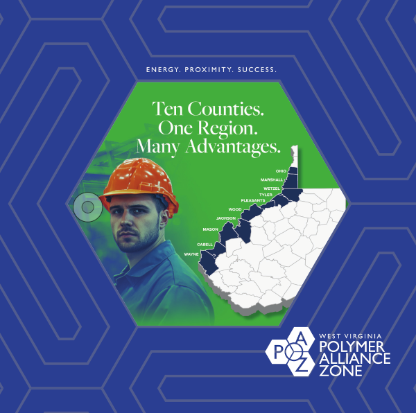 paz-report-2025 paz-report-2025